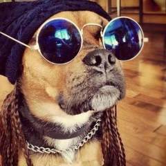 Павел Кузин, 01.01, Владивосток