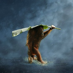 Станислав Мусаткин, 28.04, Новосибирск