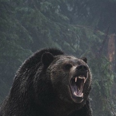 Extreme Darkpantheraleo, Тверь