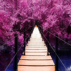 Милана Хасанова, 18.08