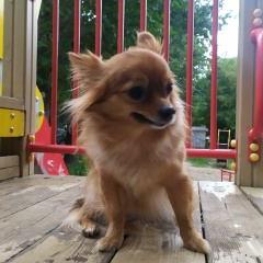 Олеся Савицкая, 18.09.1986, Пермь