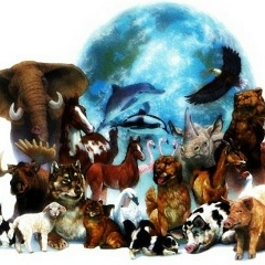 Сергей Classic, 10.12.1988, Екатеринбург