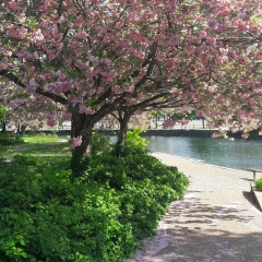 Asya Melllhi, 05.04.1998, Göteborg