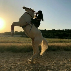 Анна Петрова, 26.03, Шымкент