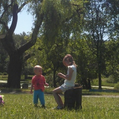 Тимуръ Алхимовъ, Санкт-Петербург