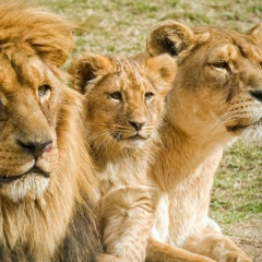 Наталья Саляева, 09.08.1986, Нижневартовск