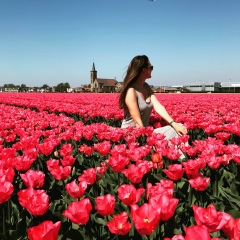 Julia Fasii, Одесса