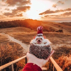 Роберт Джухманов, 21.07.1989, Волгоград