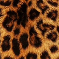 Valgida Valguda, 03.05.1986