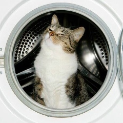 Алекс Кравец, 04.02.2007, Санкт-Петербург