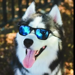 Константин Владимирович, 10.08, Тула