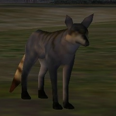 Максим Неплох, 29.06