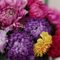 Zhanara Zhetpisova, 02.01, Алматы