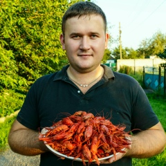 Руслан Мечкало, 17.05, Полтава