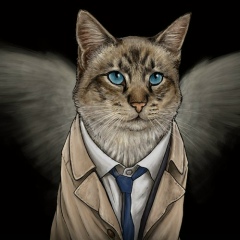 Руслан Котовский, 03.06.1986, Екатеринбург