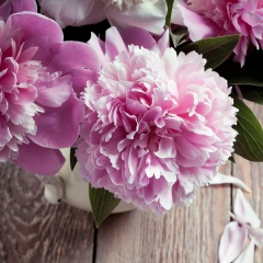 Виктория Деменкова, 07.05.1988, Москва