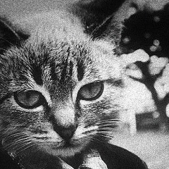 Пыхтачёк Чих-Пыхович, 18.04, Подольск