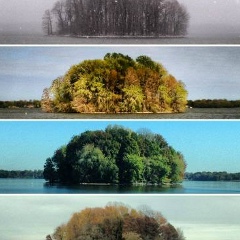 Дамир Дощанов, 06.10, Алматы