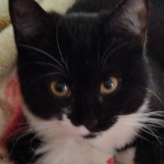 Витя Дудин, 10.07.1988, Москва