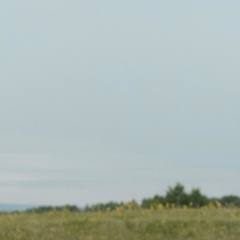 Мария Торокова, 11.02, Новосибирск