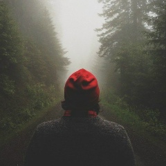 Иван Никитин, Санкт-Петербург