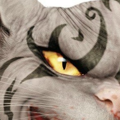 Александр Сосо, Чита