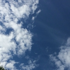 Майя Зайцева, 05.08.1974, Санкт-Петербург