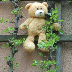 Евгений , 12.12