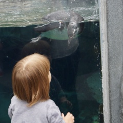 Feo-Ваша-Фота-Ушла-Вбок-Ничегост Qpeo-Акакямногоместазанимаюэтопи, 01.01, Los Angeles