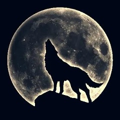 Изновр Салаватов, 02.01, Санкт-Петербург