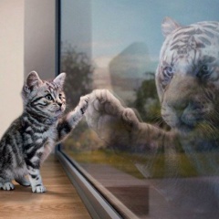 Лёха Романов, 13.11.1986, Bruxelles