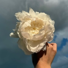 Елена Лена, Санкт-Петербург