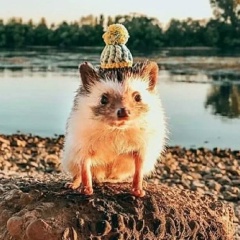 Анастасия Арцибасова, 18.04, Москва