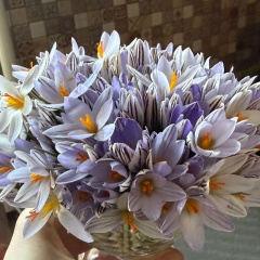 Ольга Петрова, 19.10.1980, Санкт-Петербург