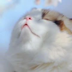 Анюта Анюта, 23.01, Столин