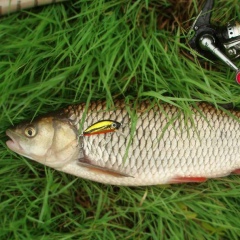 Игорь Крупнов, 10.06.1979, Киев