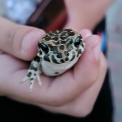 Юлия Ларионова, 19.11.1984, Донецк