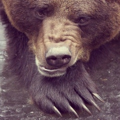 Алексей Котов, 24.02, Краснодар