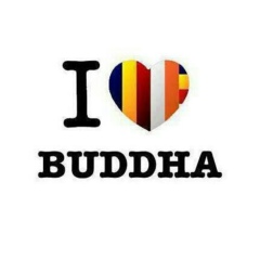 ေမတၱာစည္ ေဆးအလွဴေတာ္, 10.02.2004