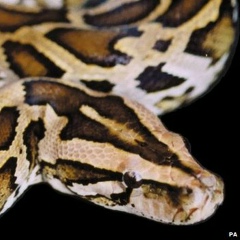 Оксана Гулякина, 19.07.2001, Калуга