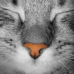 Анастасия Конова, 17.07, Дзержинский