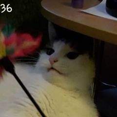 Валера Курочкин, 29.08.1996, Москва