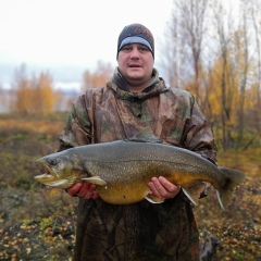 Фёдор Шульгин, Мончегорск