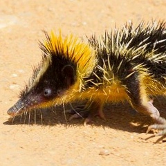 Екатерина , 27.04.1986, Харьков