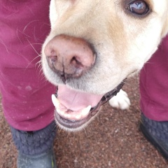 Мария Сизарева, 14.08, Санкт-Петербург