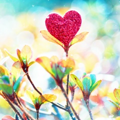 Еленка Пашкевич, 27.08, Жлобин