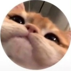 Александр Комашня, Киев