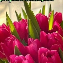 Марина Никульшина, Тамбов