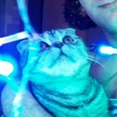 Александр Самойлов, 03.02.1990, Екатеринбург