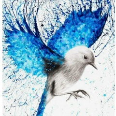 Анастасия Удалова, Санкт-Петербург